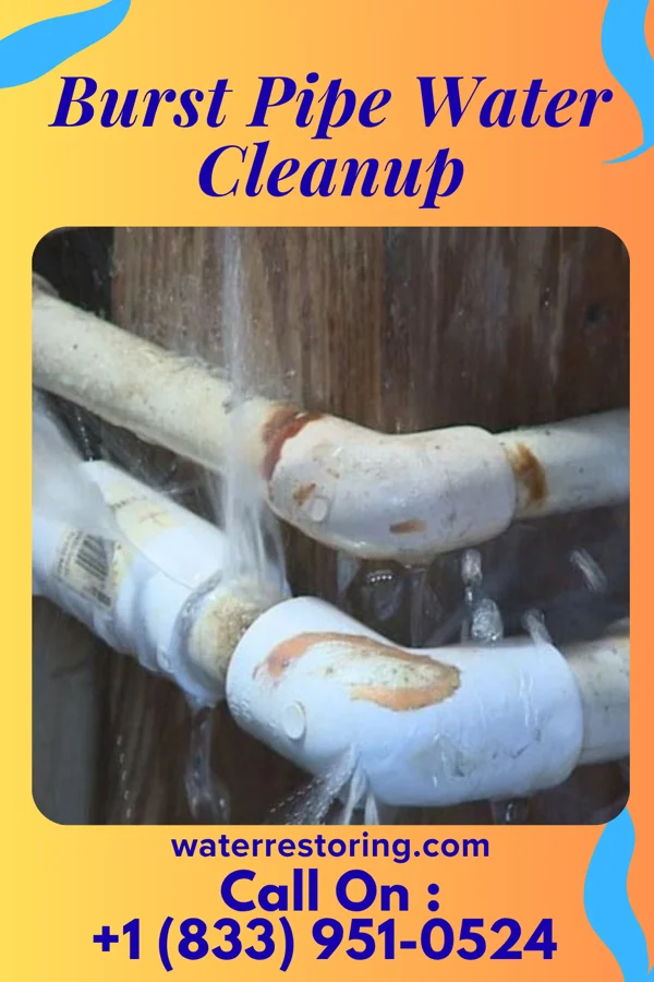 Burst Pipe Water Cleanup in Britt, IA