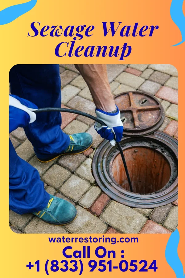 Sewage Water Cleanup in Britt, IA